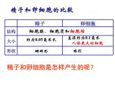 浙教版七年级下册科学 1.1新生命的诞生 课件