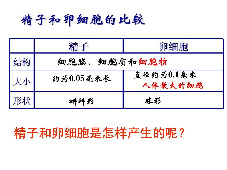 浙教版七年级下册科学 1.1新生命的诞生 课件第3页