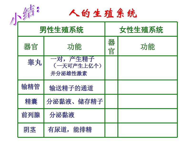 浙教版七年级下册科学 1.1新生命的诞生 课件第6页