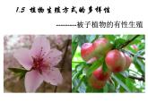 浙教版七年级下册科学 1.5植物生殖方式的多样性 课件