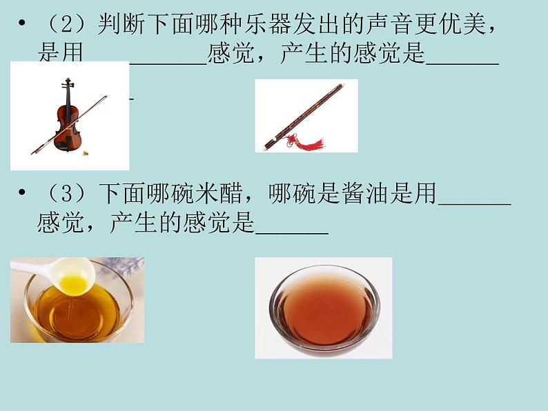 浙教版七年级下册科学 2.1感觉世界 课件04