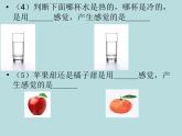 浙教版七年级下册科学 2.1感觉世界 课件