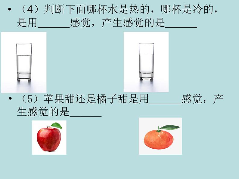 浙教版七年级下册科学 2.1感觉世界 课件05