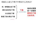 浙教版七年级下册科学 3.3重力 课件