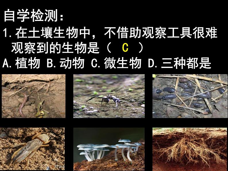 浙教版八下科学  4.1土壤的成分 课件04