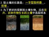浙教版八下科学  4.1土壤的成分 课件
