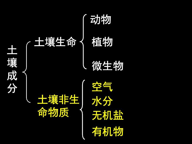 浙教版八下科学  4.1土壤的成分 课件07