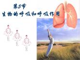 浙教版八下科学  3.5生物的呼吸和呼吸作用 课件