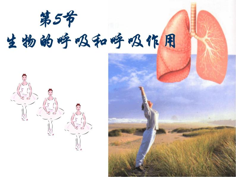 浙教版八下科学  3.5生物的呼吸和呼吸作用 课件01