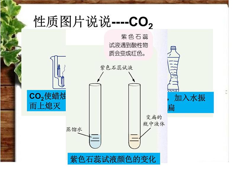 浙教版八下科学  3.4二氧化碳 课件03