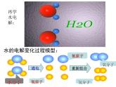 浙教版八下科学  2.4组成物质的元素 课件