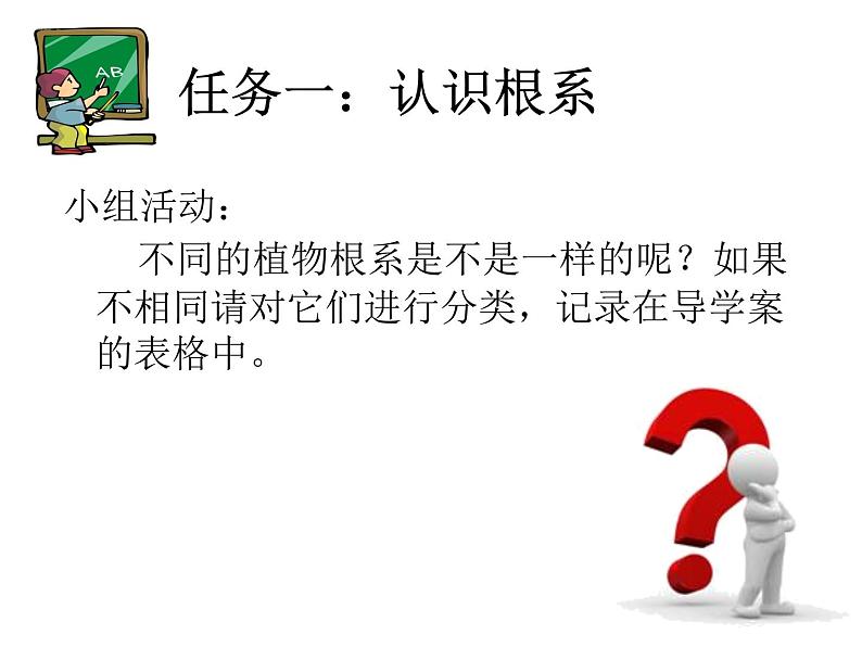 浙教版八下科学  4.3植物的根与物质吸收 课件04