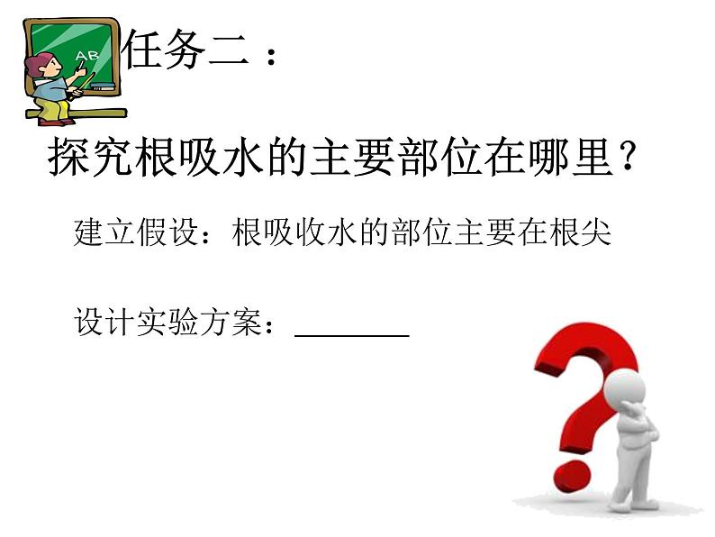 浙教版八下科学  4.3植物的根与物质吸收 课件07