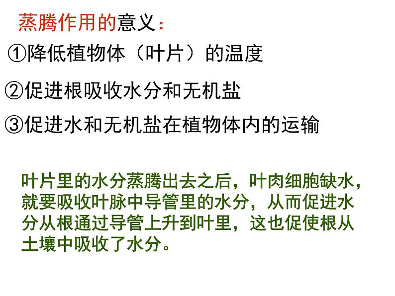 浙教版八下科学  4.5植物的叶与蒸腾作用 课件06