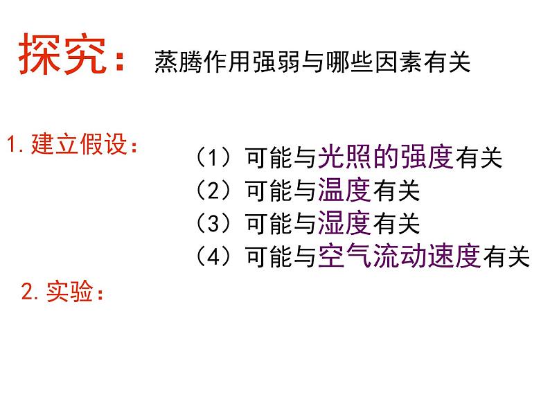 浙教版八下科学  4.5植物的叶与蒸腾作用 课件07