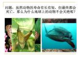 浙教版七下科学  1.3动物的生长时期 课件