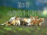 浙教版七下科学  1.3动物的生长时期 课件