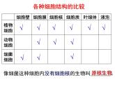 浙教版七下科学  1.6细菌和真菌的繁殖 课件