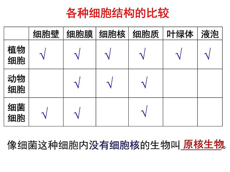 浙教版七下科学  1.6细菌和真菌的繁殖 课件03