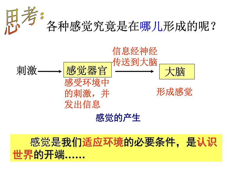 浙教版七下科学  2.1感觉世界 课件06