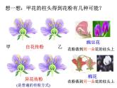 浙教版七下科学  1.5植物生殖方式的多样性 课件