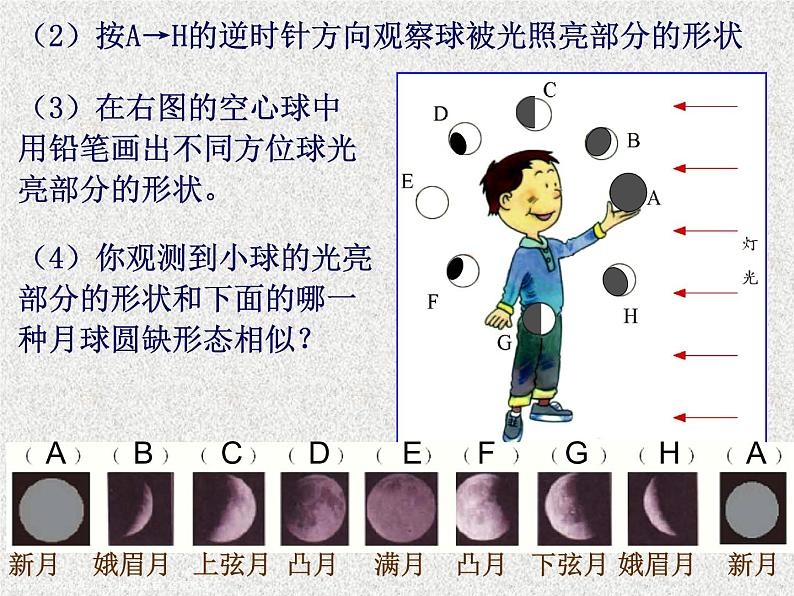 浙教版七下科学  4.4月相 课件06