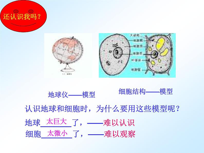 浙教版八下科学  2.1模型 符号的建立与作用 课件08