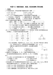 中考科学【二轮专题】复习 专题十三 物质的检验、鉴别、除杂和推断 强化训练（有答案）