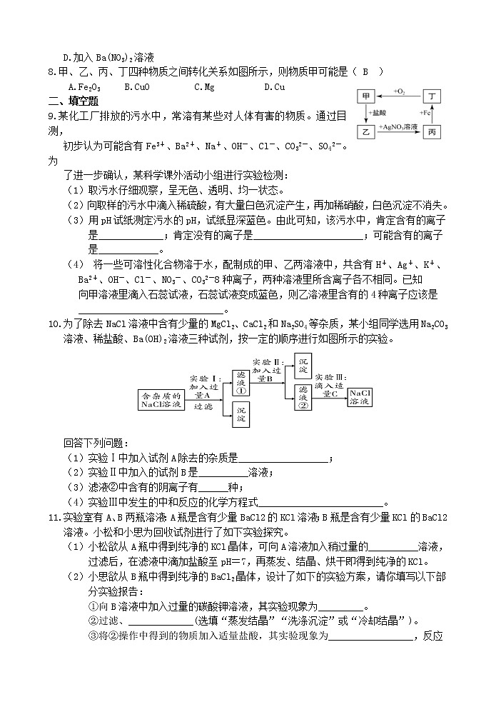 中考科学【二轮专题】复习 专题十三 物质的检验、鉴别、除杂和推断 强化训练（有答案）02