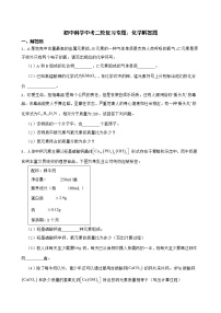 初中科学2022年中考二轮复习专题：化学解答题解析版