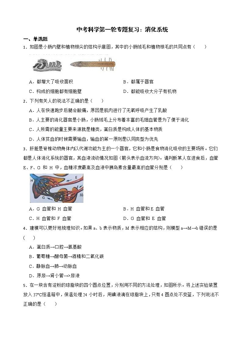 2022届中考科学第一轮专题复习：消化系统解析版第1页