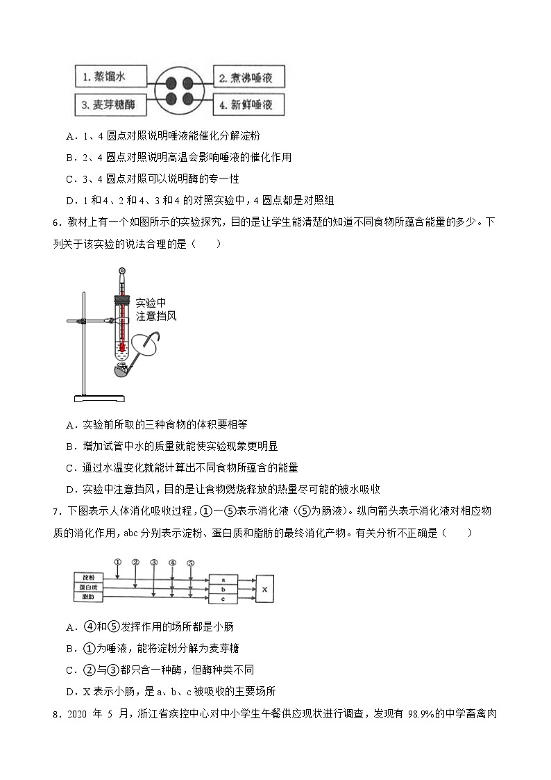 2022届中考科学第一轮专题复习：消化系统解析版第2页