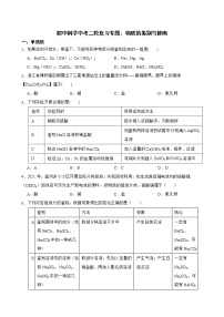 初中科学2022年中考二轮复习专题：物质的鉴别与推断解析版