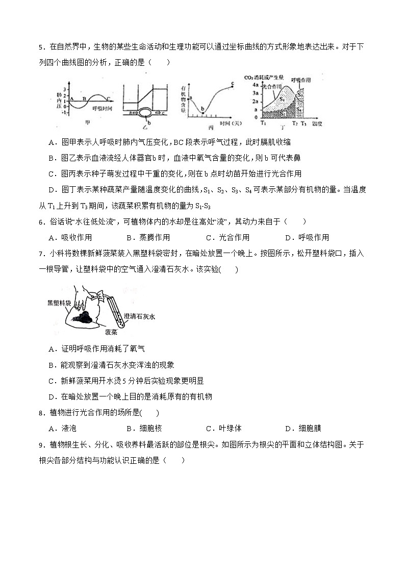 2022届中考科学第一轮专题复习：植物的生长解析版第2页