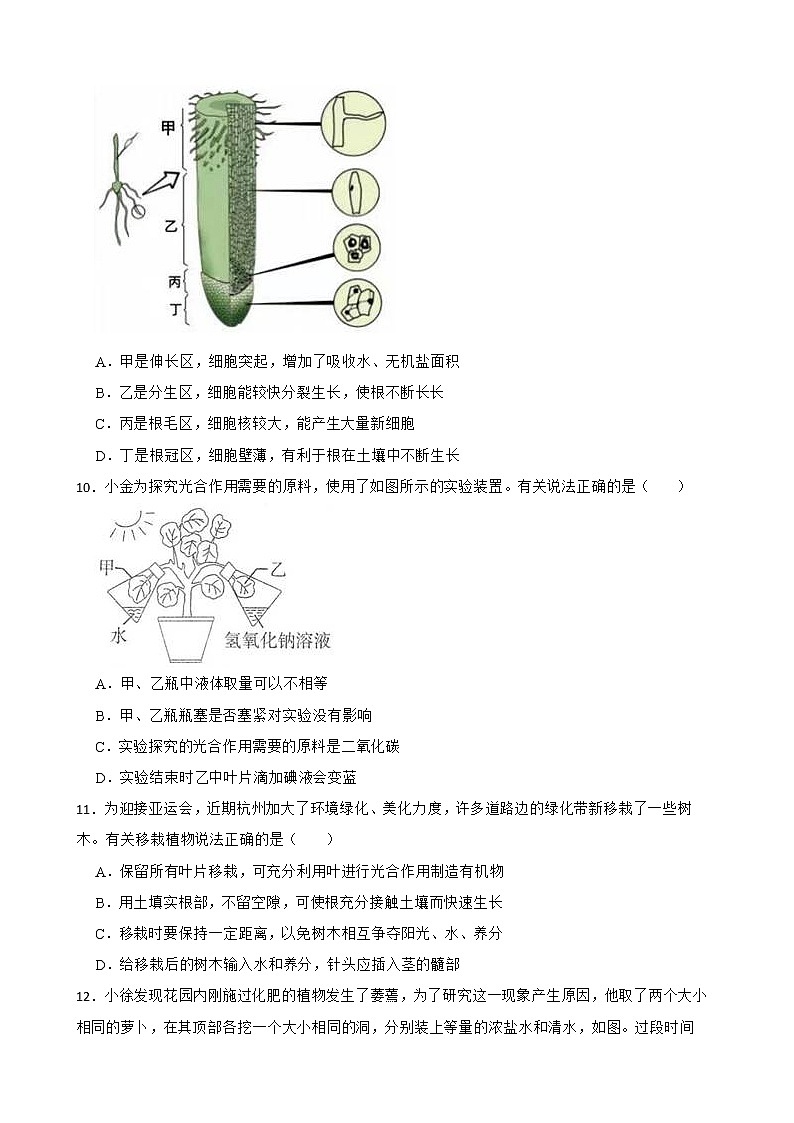 2022届中考科学第一轮专题复习：植物的生长解析版第3页