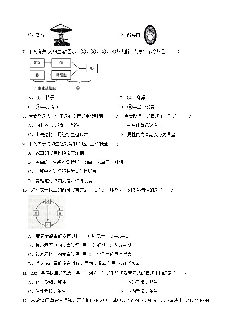 2022届中考科学第一轮专题复习：生命的延续和进化解析版第2页