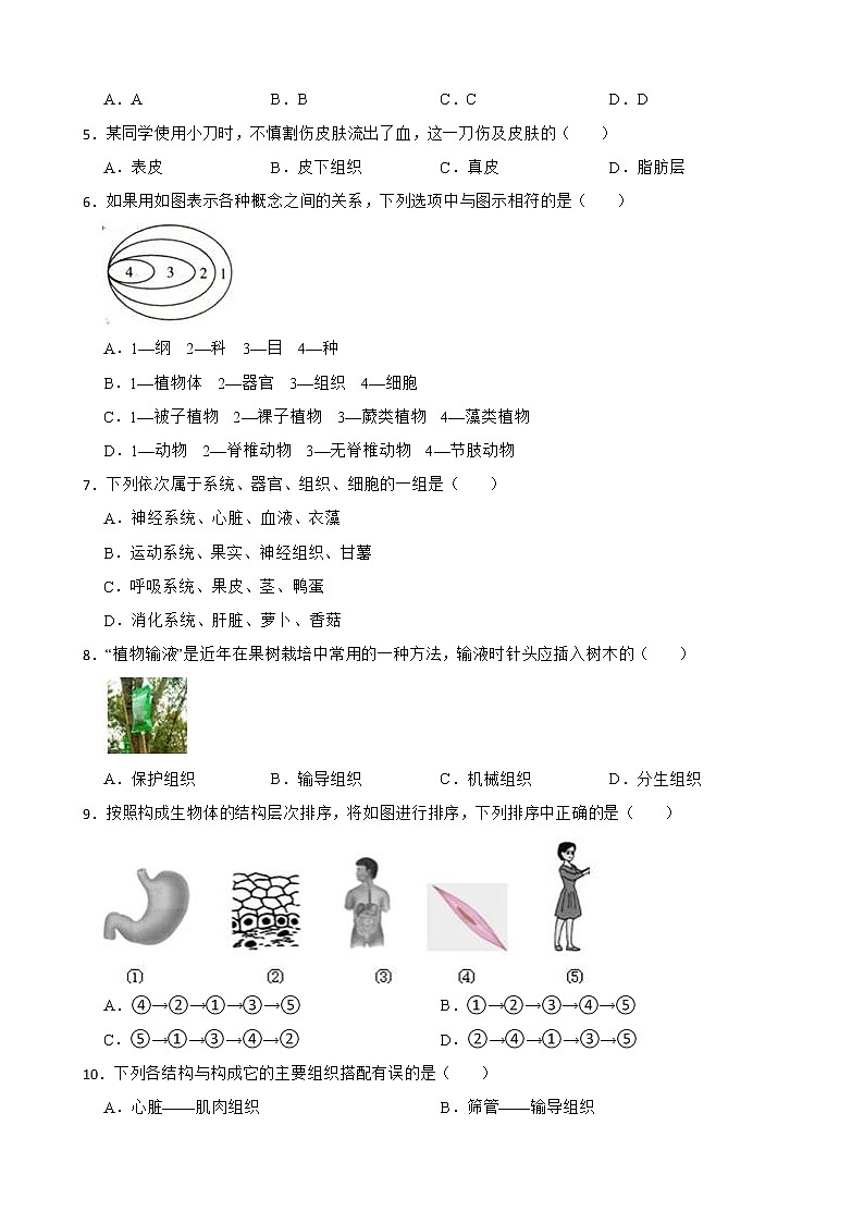 2022年中考科学第一轮专题复习：组织、器官和系统解析版第2页
