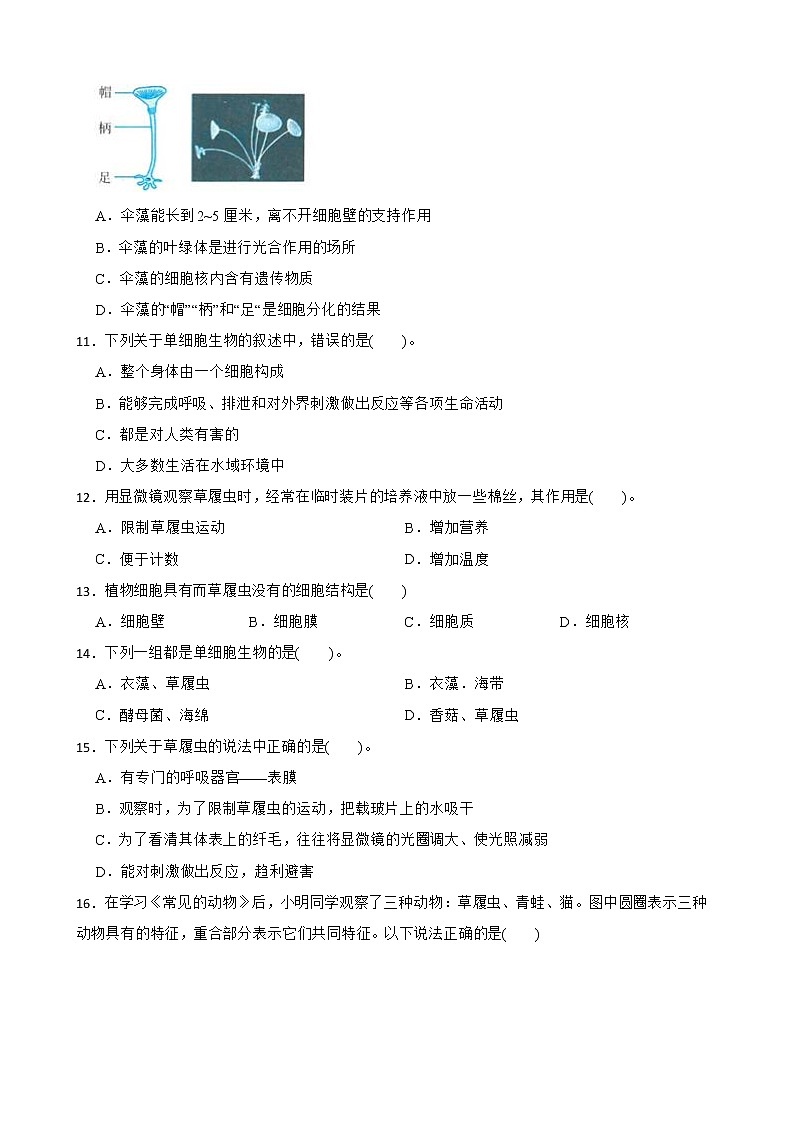 2022年中考科学第一轮专题复习：单细胞生物解析版第3页