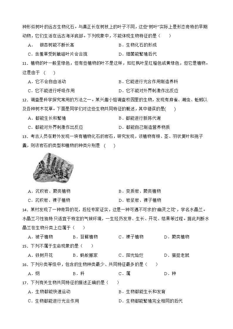 2022年中考科学第一轮专题复习：生物的分类与辨别解析版第3页
