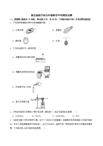 浙江省嘉兴市九年级科学中考模拟试卷解析版