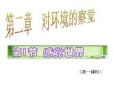 浙教版七年级下册科学 2.1感觉世界 课件