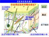 浙教版七年级下册科学 2.1感觉世界 课件