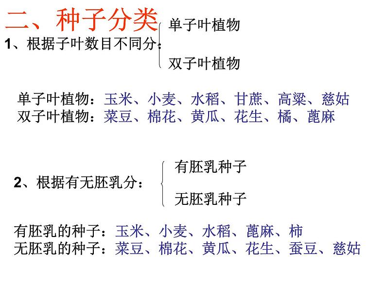 浙教版七年级下册科学 1.4植物的一生 课件第7页