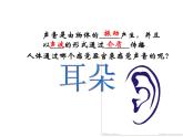 浙教版七年级下册科学 2.3耳和听觉 课件