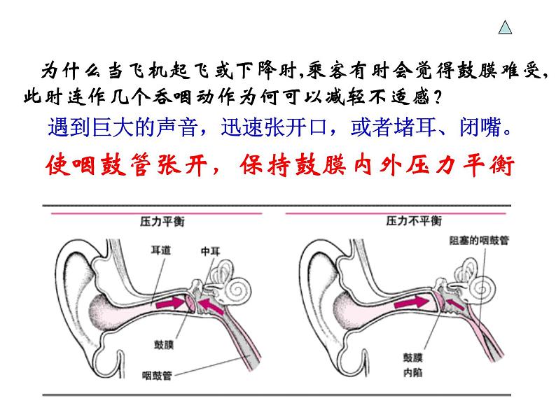 浙教版七年级下册科学 2.3耳和听觉 课件06