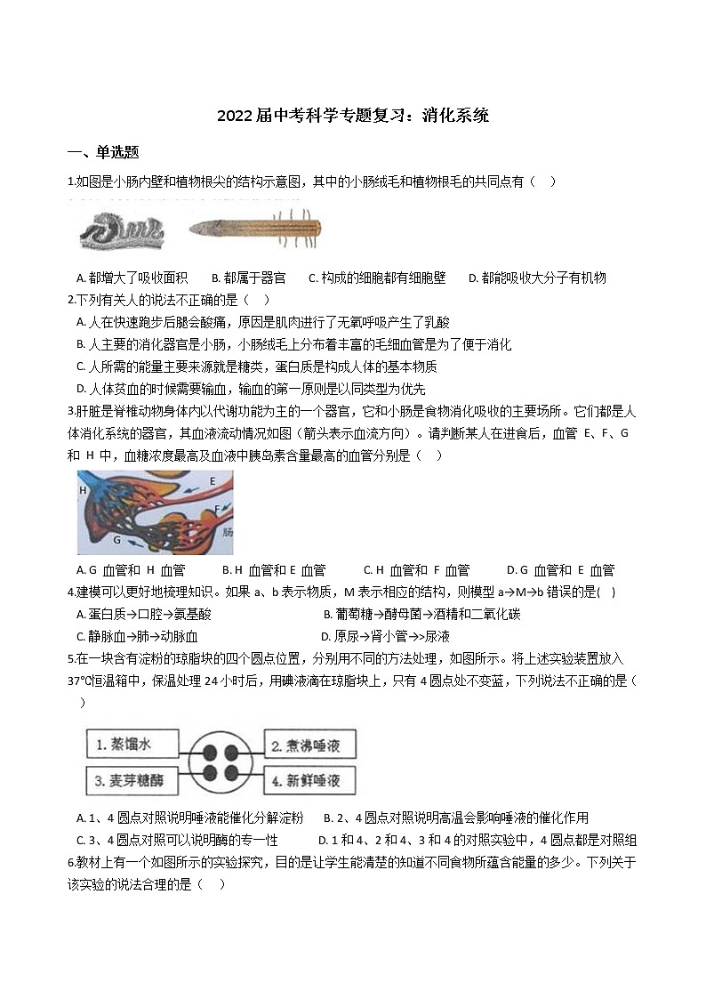 2022年浙江省中考科学专题复习12 消化系统第1页