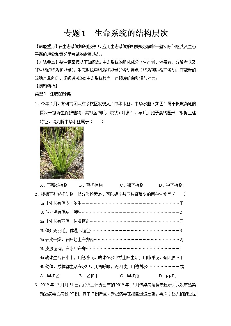 专题1 生命系统的结构层次（原卷版）第1页