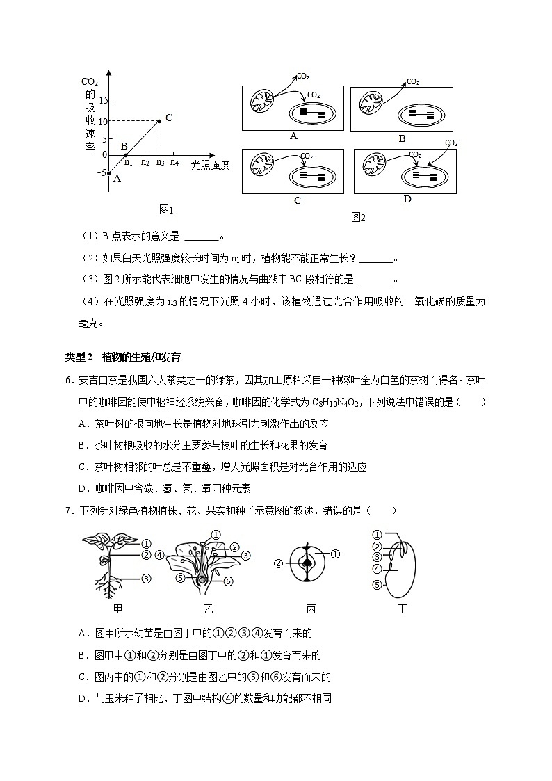 2022届中考科学专题练：植物的代谢和生殖03