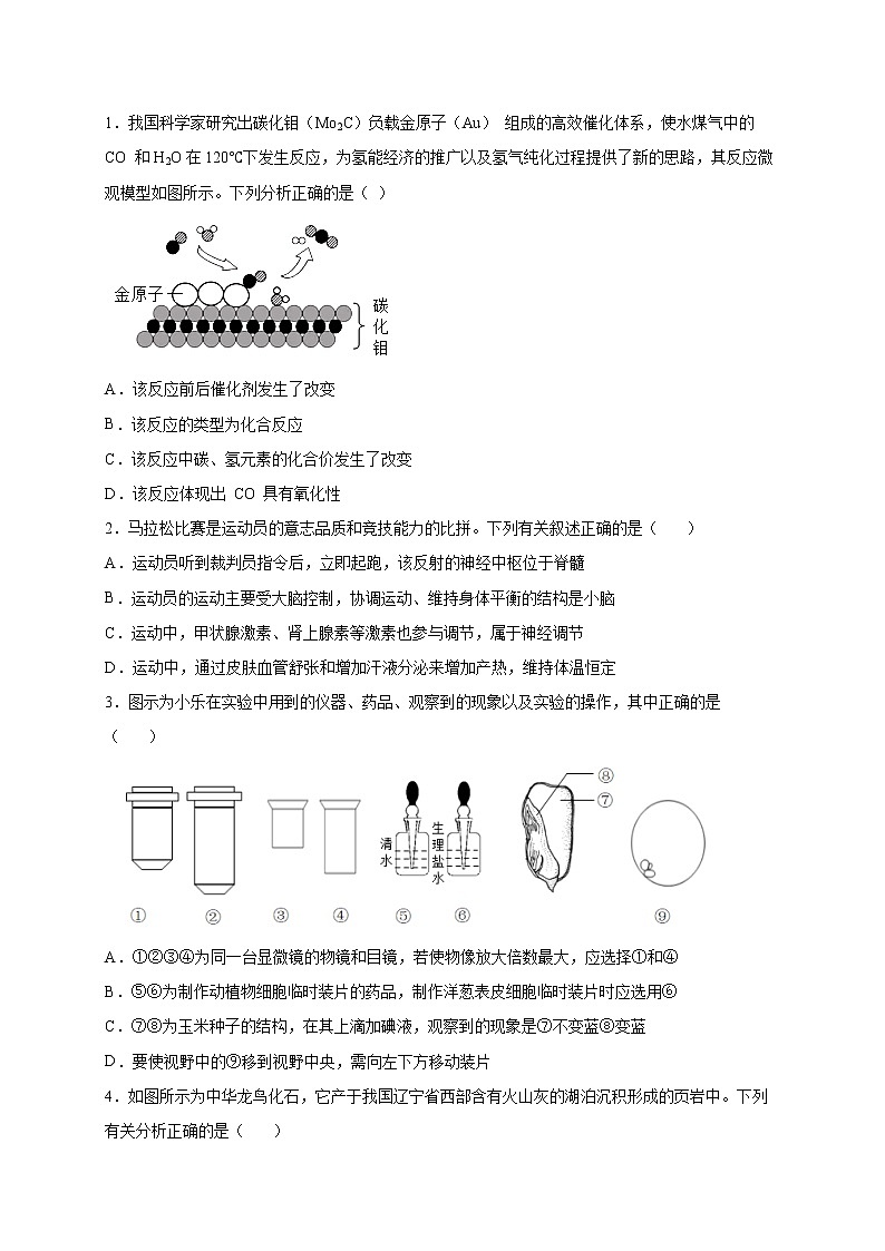 选择题（六）（原卷版）第3页