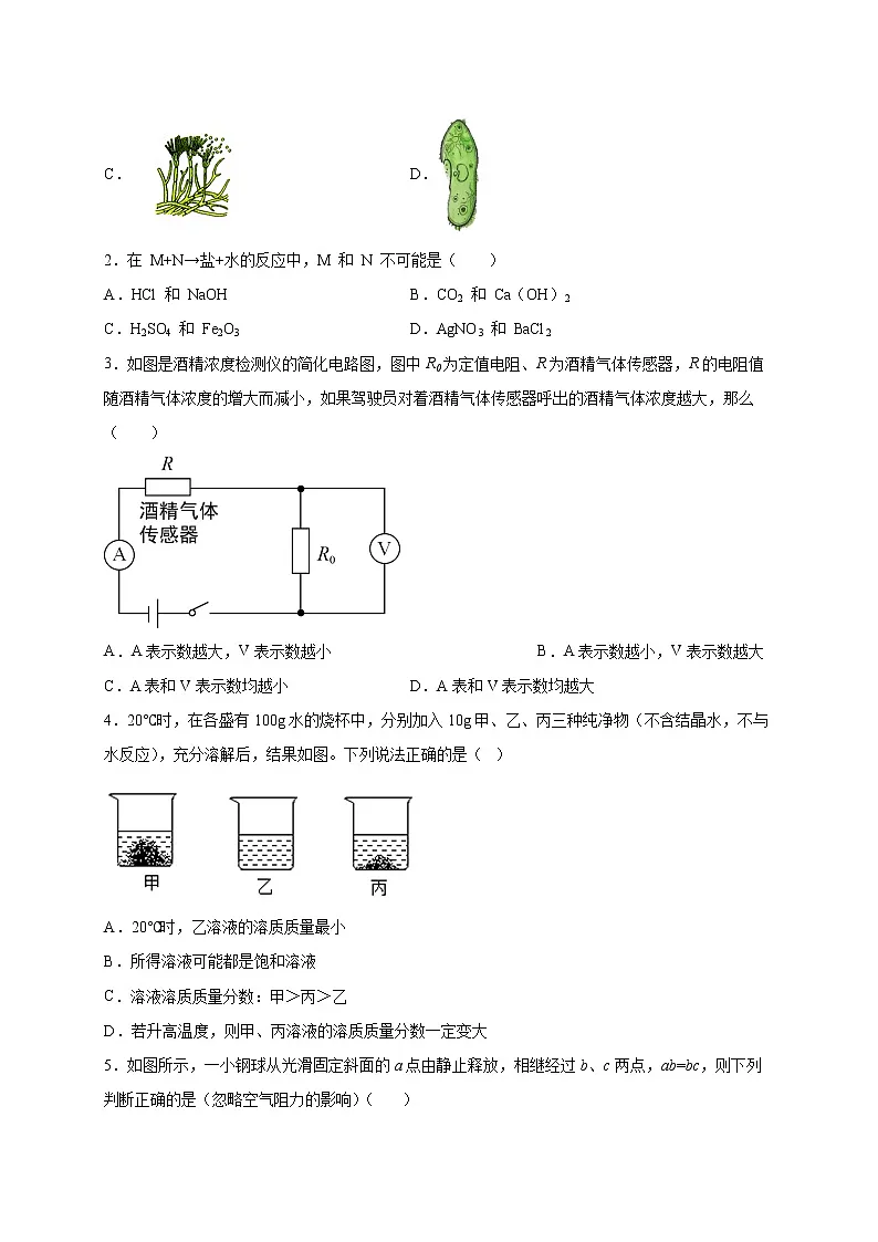 选择题（五）（原卷版）第3页